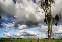 雷竞技-Doinb新星回归赛场表现惊艳，独行侠未来可期！的简单介绍